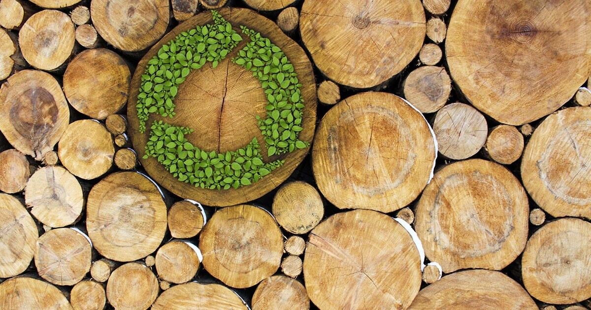 Why Sustainably Sourced Wooden Doors from Artwins – A Leading Manufacturer in Hubli – Are Better for Your Home & the Planet
